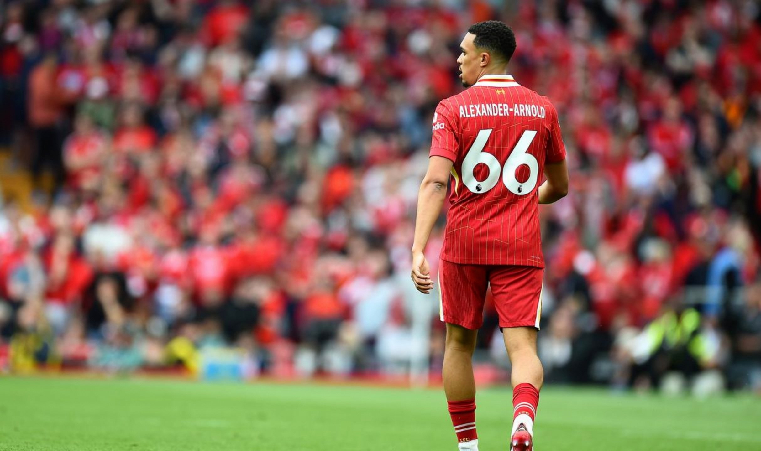 关于水晶宫客场负于利物浦,遭受打击的信息 关于水晶宫客场负于利物浦,遭受打击的信息